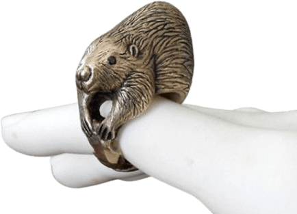 beaver ring