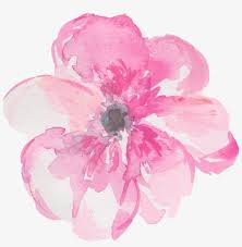 pink flowerwatercolor - Google Search