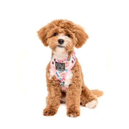 ADJUSTABLE DOG HARNESS For Big & Small Dogs | BIG & LITTLE DOGS
