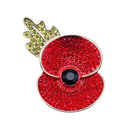 brooch poppy: 56 thousand results found on Yandex.Images