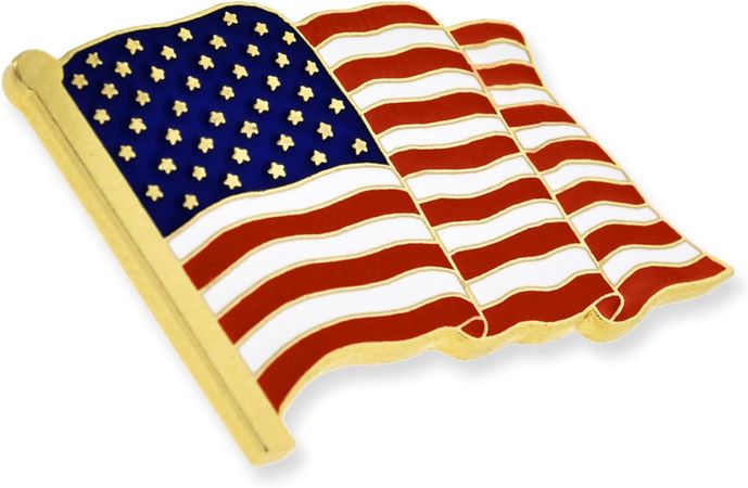 us flag pin gold - Google Search