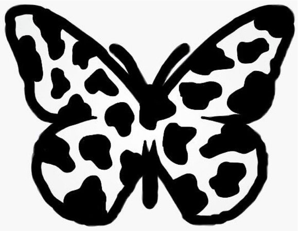 cow butterfly