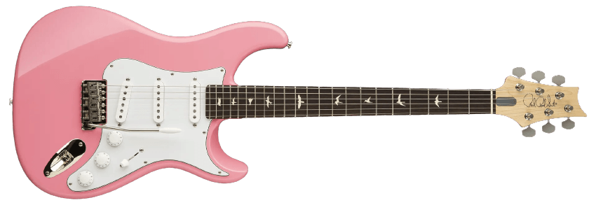 Instrument - PRS Guitar Silver Sky