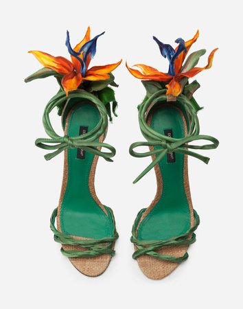 Women's Sandals and Wedges | Dolce&Gabbana - SATIN SANDALS WITH BIRD OF PARADISE EMBROIDERY