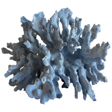 natural blue coral