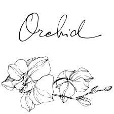 black orchid word - Google Search
