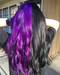 half purple and half black hair