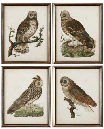 owls art