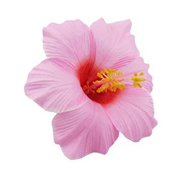hawaiian hair flower - Pesquisa Google