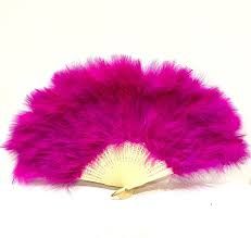 hot pink ostrich feather fan png - Google Search