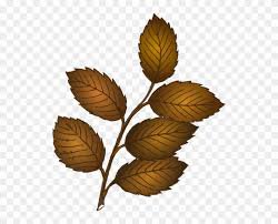 stems brown watercolor - Google Search