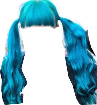 Blue Ponytails Hair