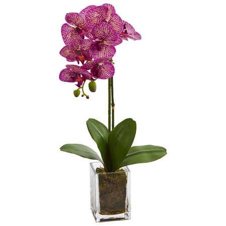 Nearly Natural 24in. Orchid Phalaenopsis Artificial Arrangement in Vase, Pink - Walmart.com
