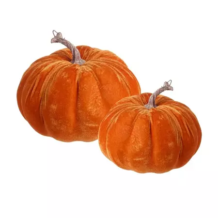 velvet pumpkins png - Google Search