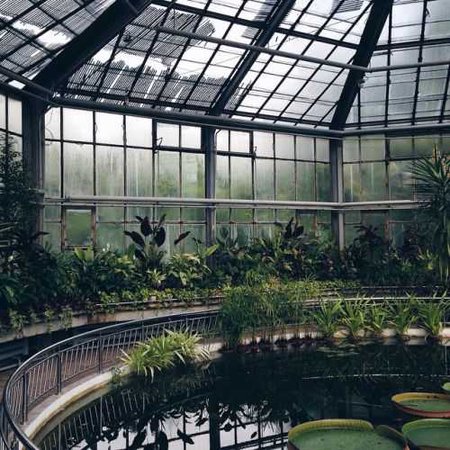 greenhouse aesthetic