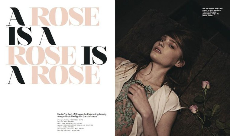 A rose is a rose is a rose (Nylon Magazine)