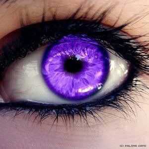 Android eye (purple)