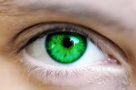 bright green eyes - Google Search