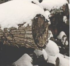 Winter Snow Log