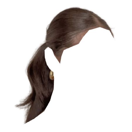 curly brown straightened hair low slicked back ponytail hairstyle