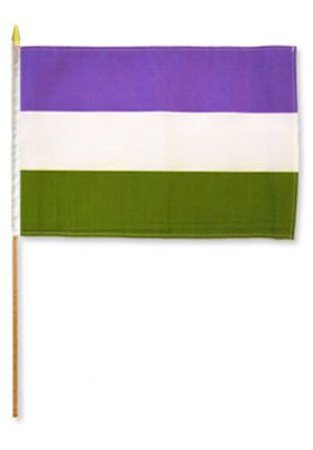 12x18 12"x18" Gay Pride Genderqueer Stick Flag wood staff | eBay