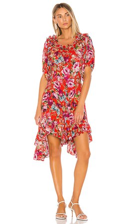 ICONS Objects of Devotion Babydoll Dress in Red Floral | REVOLVE