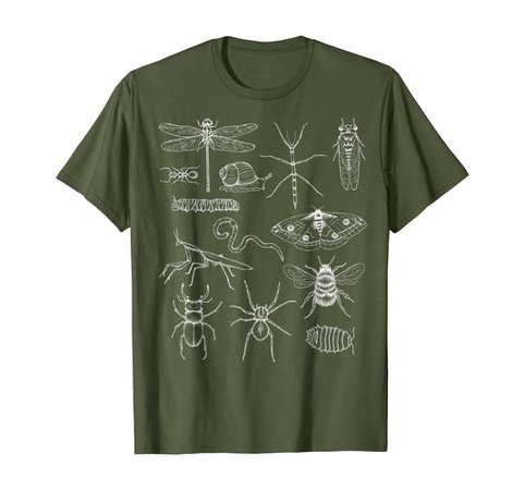 Amazon.com: Minibeasts - Insects and Invertebrates Drawings T-Shirt : Clothing, Shoes & Jewelry