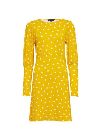 Ochre Spot Jersey Fit and Flare Dress | Dorothy Perkins