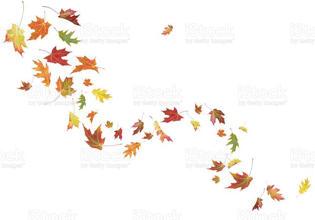 autumn-leaves-blowing-in-the-wind-picture-id171297985 (1024×717)