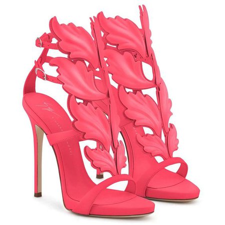 pink giuseppe zanotti heels pumps