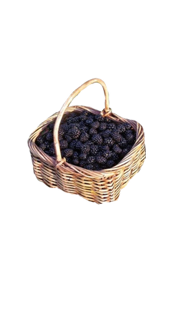 wicker basket of blackberries