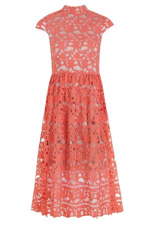 Boutique Lace High Neck Skater Dress | Boohoo