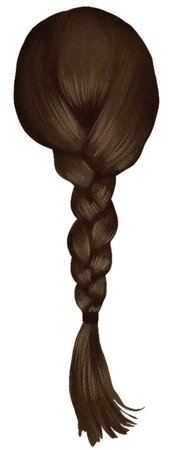 Brown braid