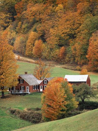 'Jenne Farm in Autumn, Reading, Vermont, USA' Photographic Print - Walter Bibikow | Art.com