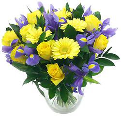Send Blue Flower Bouquets