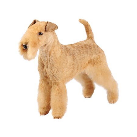 Scottish Terrier - Purina®
