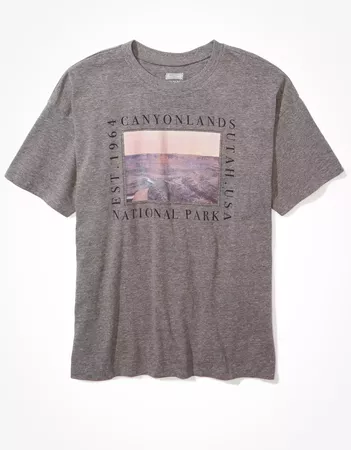 Tailgate Women's Canyonlands National Park Boxy T-Shirt grey