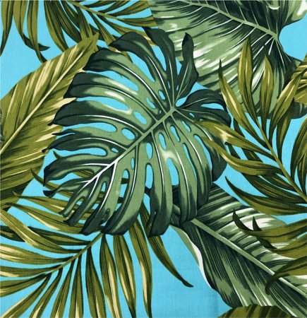 coradorables monstera turquoise