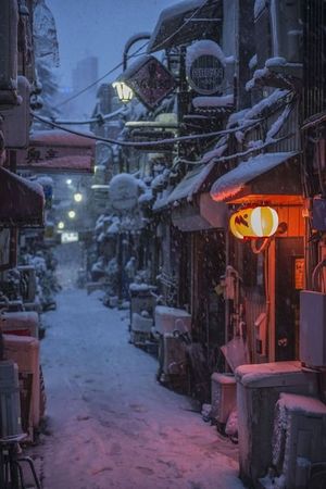 japanese night snow ❄️