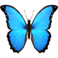 🦋 Butterfly Emoji