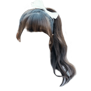 brown hair png bangs ponytail