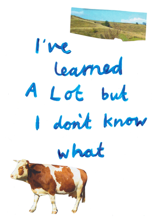 demiiwhiffin tumblr graphic collage cow text paint