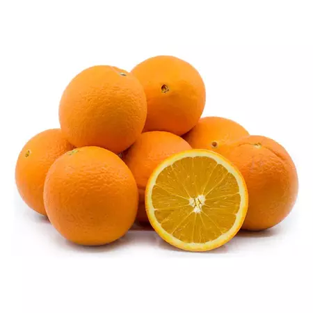 Navel Orange Tree | Navel Orange Tree for Sale - PlantingTree