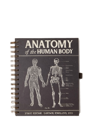 cias pngs // anatomy of the human body book