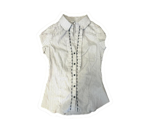 pinstripe blouse