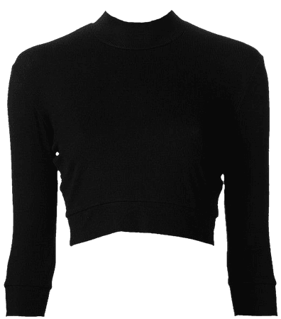 Black cropped turtle neck top png