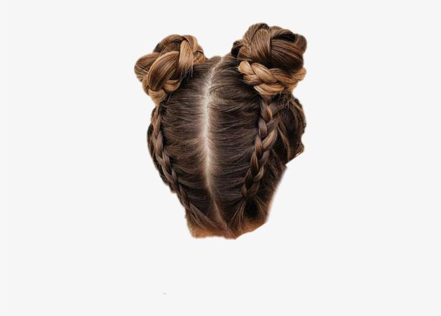 182-1825469_hair-bun-buns-braid-braids-hairstyle-updo-hairdo.png (820×587)