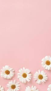 pink flower aesthetic wallpaper - Google Search