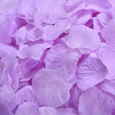 purple aesthetic flower petals - Google Search