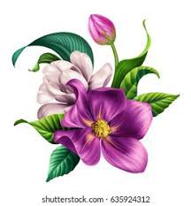 tropical flower purple png - Google Search